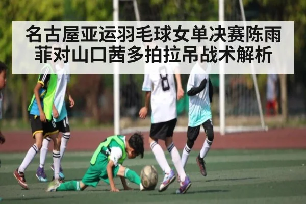 名古屋亚运羽毛球女单决赛陈雨菲对山口茜多拍拉吊战术解析